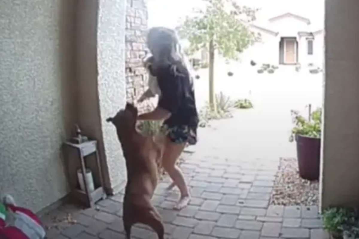 Lady puts herself in front of ravaging Pitbull to save young girl