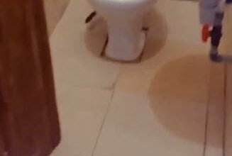 Students Flee After Spotting A Big Snake In Toilet (Video)