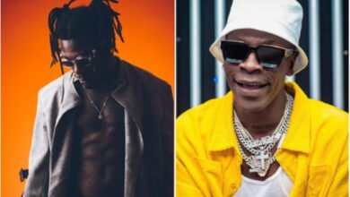 What Shatta Wale said about Nigerians was unnecessary
