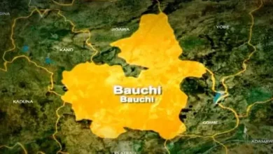 Police helicopter with 6 persons onboard crashes in Bauchi