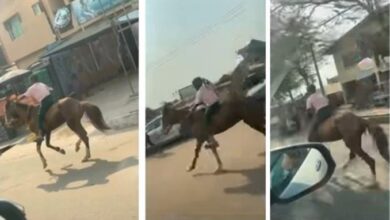Primary schoolboy spotted riding horse home from school in Abeokuta (Video)