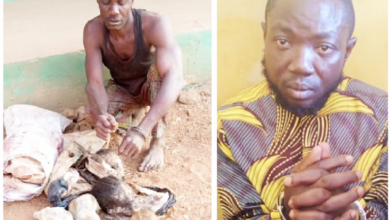 Two men arrested for exhuming 16 human skulls at cemetery in Oyo
