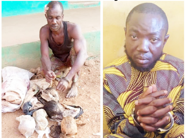 Two men arrested for exhuming 16 human skulls at cemetery in Oyo