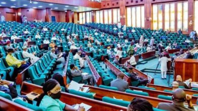 Reps urge FG to declare state of emergency on ritual killings in Nigeria