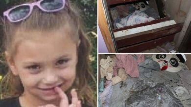 4-year-old girl missing since 2019 found alive under staircase