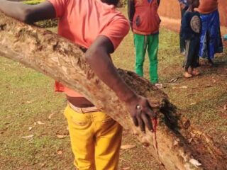 19-year-old man nailed to a tree for allegedly stealing radio
