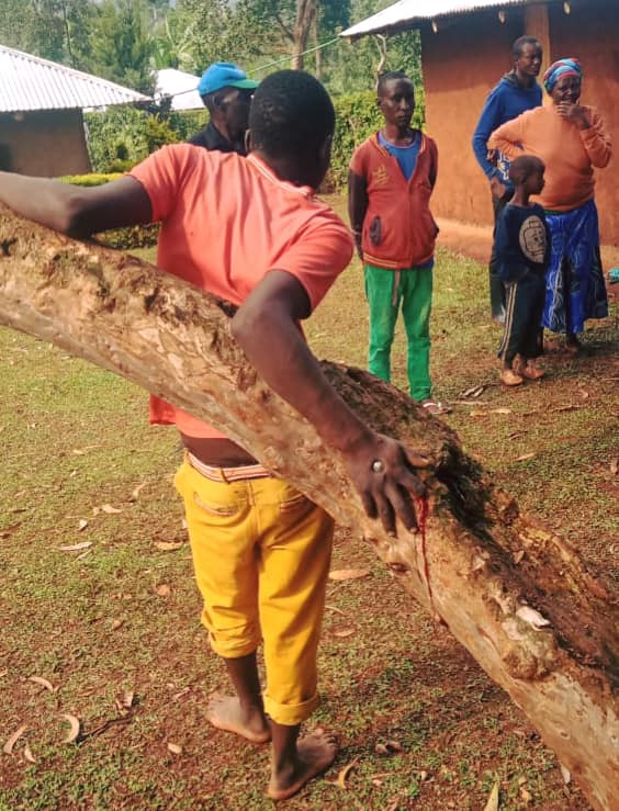 19-year-old man nailed to a tree for allegedly stealing radio 