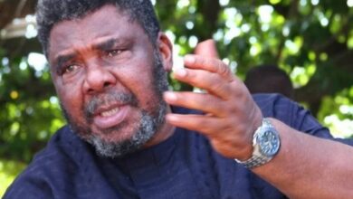 Igbo Presidency will end looting - Pete Edochie