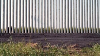 Mexican man dies after falling from Texas border wall while trying to enter the US