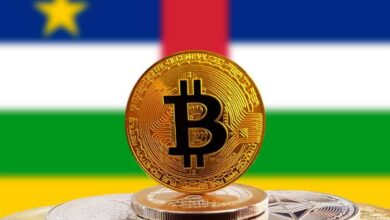 Central African Republic officially adopts bitcoin as legal currency