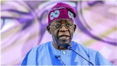 Afenifere leader to Tinubu, Osinbajo: Drop your presidential bids