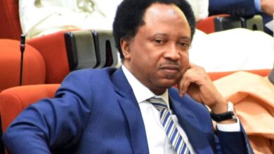 "They deserve serious punishment" - Shehu Sani on women who sleep with dogs