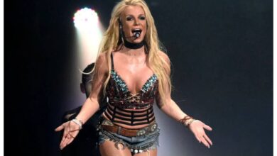 Britney Spears suffers miscarriage