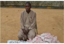 Man arrested with 1200 sachets of Tramadol and Exol tablets in Kano