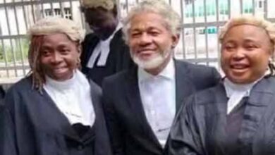 Lawyer who dressed as a native doctor to court proceedings reverts to wigs