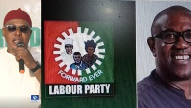 Labour Party Addresses Nigerians As Ezenwafor Emerges Its Factional Presidential Candidate