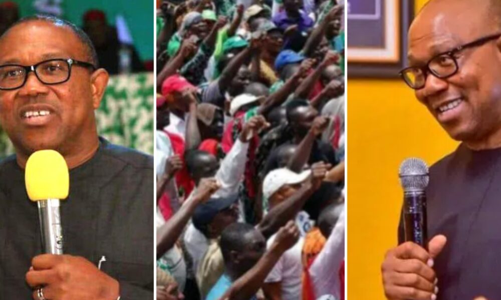 Peter Obi Addresses His Followers On How To Express Themselves Amid Verbal Clashes