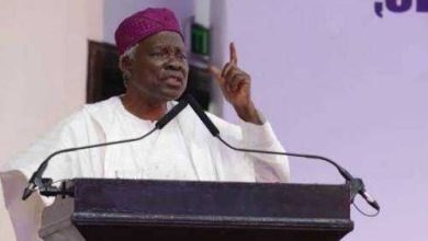 Details of Akintoye’s Resignation as Leader of Yoruba Nation