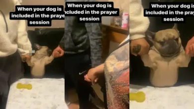 “Every living thing must praise the Lord” – Netizens react as Nigerian family involve their dog in New Year’s day prayers [Video]