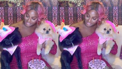 “How time flies as a mother”- DJ Cuppy celebrates her dogs Dudu and Funfun's 2nd birthday