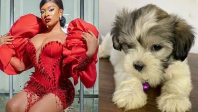 BBNaija's Phyna receives adorable pet gift from fans