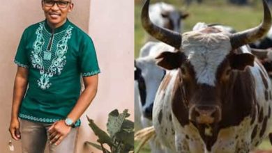 Man who spent over N2m to buy cows for bride price divorces wife after 3 years