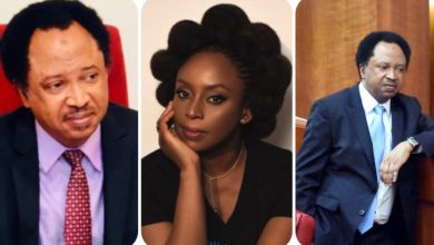 “How Chimamanda Nearly Caused F!ght Between My Wife And I” – Senator Shehu Sani Reveals