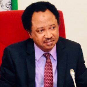 Shehu Sani on Chimamanda