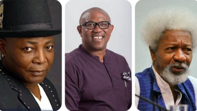 “It Has Finally Dawned On Me That He Can Never Be The Man Chinua Achebe Was” – Charly Boy Takes A Swipe At Wole Soyinka