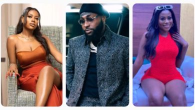 Davido Reacts After Sophia Momodu Called Out Irresponsible Baby Daddies (DETAILS)