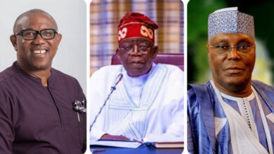 “Allow Nigeria To Breathe. The Election Was Clearly And Fairly Won By Tinubu” – FG Tells European Union