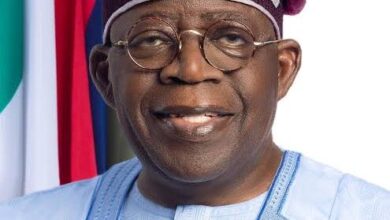 President Tinubu welcomes PEPT verdict, urges Peter Obi and Atiku to support his government