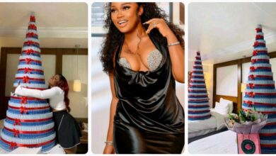 Fans Welcome Ceec With Two Giant Money Tree, Iphone 15 & Other Expensive Gifts (VIDEO)