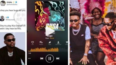 What I heard when I played Kizz Daniel’s Buga on Audiomack – X user reveals (VIDEO)