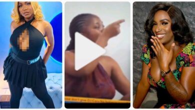 “Dami Push€d Wanni 5 Times, This Is Not Content But Provocation & Viol€nce”- Fan Reacts, Calls Out Biggie (VIDEO/DETAILS)